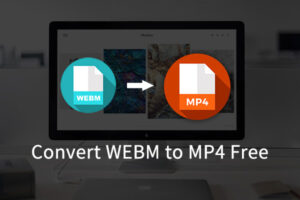 Convert WebM to MP4 for Free